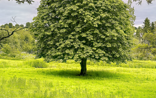 1742401 (a): :2560x1600
